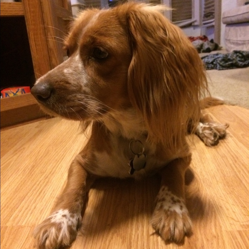 Meet your Posher, Karen